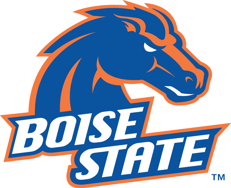 Boise State Broncos 2002-2012 Primary Logo iron on transfers for clothing